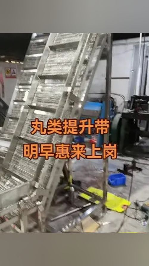 專業(yè)丸類設備制造商 肉類輸送提升帶 工廠實拍視頻 肉類加工設備 偉亨食品機械